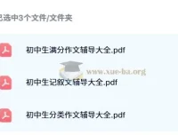 《全胜宝典：初中作文辅导大全》