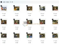 《走遍美国》学口语：中文讲解版+原版中英字幕（适合中级水平及高中生）