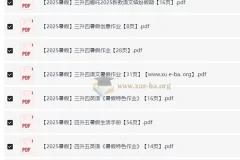 2025暑假小学特色作业资料包