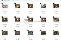 《走遍美国》学口语：中文讲解版+原版中英字幕（适合中级水平及高中生）