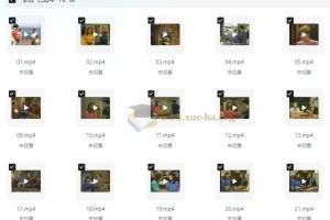 《走遍美国》学口语：中文讲解版+原版中英字幕（适合中级水平及高中生）