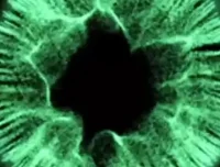 AI短剧解说：快速涨粉与变现的实用秘籍