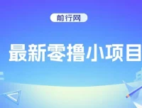 零撸小项目：复制粘贴抖音广告轻松赚钱