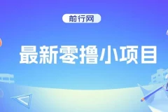 零撸小项目：复制粘贴抖音广告轻松赚钱