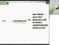 徐京2024高考生物三轮冲刺：细胞遗传生态专题精讲