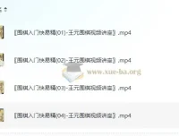 《围棋入门快易精》——王元围棋视频讲座