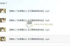 《围棋入门快易精》——王元围棋视频讲座