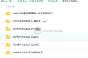 政哥李政高中化学2025高三高考真题12小时精讲班