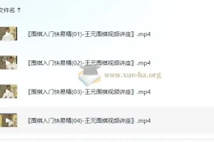 《围棋入门快易精》——王元围棋视频讲座