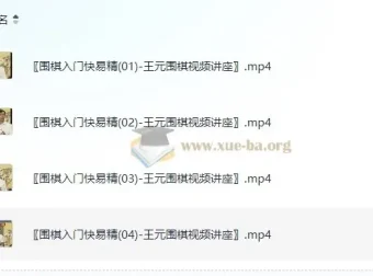 《围棋入门快易精》——王元围棋视频讲座