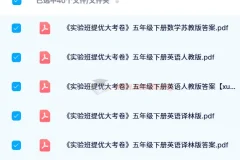 2024春 实验班提优大考卷