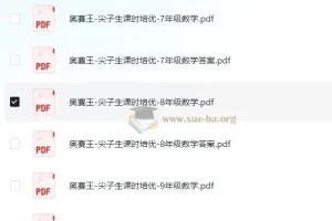 奥赛王《尖子生课时培优（7 – 9年级数学）》