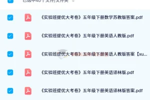 2024春 实验班提优大考卷