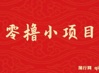 揭秘零撸小项目：单号月入60+，拉新一个18元
