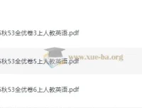 2025秋3、5、6年级小学英语上册人教PEP版《53全优卷》