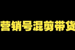 营销号混剪带货课程：从内容创作到流量变现全流程揭秘