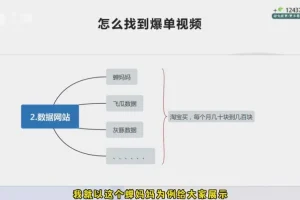 张宾小红书笔记带货实战课（2024最新版，含392节系统课及3套赠课）