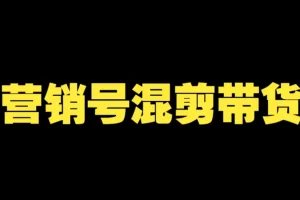 营销号混剪带货课程：从内容创作到流量变现全流程揭秘