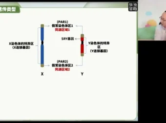 2024徐京高考生物点睛押题卷（含全国各省卷及解析）