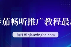 番茄畅听《斗破苍穹》直播推广：稳定日入300+项目