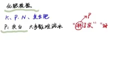 清越姐姐高三化学选修一系统课+酸碱盐专题课