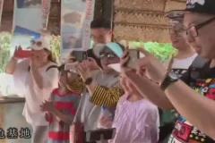 王芳老师知识脱口秀全集：全方位领略历史、文化与趣闻魅力