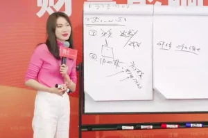 张萌财富影响力课：6期实战赚钱秘籍