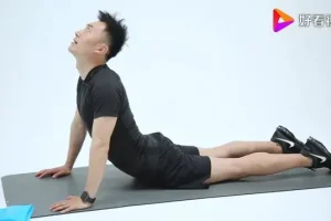 21天高效减脂塑形计划：每日15分钟，瘦腰翘臀美背焕新身材