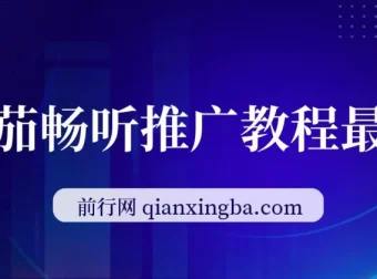 番茄畅听《斗破苍穹》直播推广：稳定日入300+项目