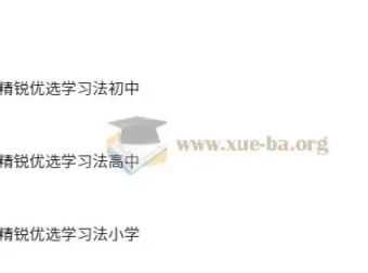 北大精锐优选学习法（小学、初中、高中全学段适用）