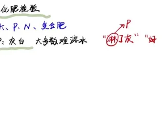 清越姐姐高三化学选修一系统课+酸碱盐专题课