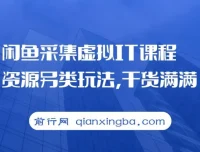 闲鱼采集虚拟IT课程资源另类玩法课程，干货满满