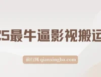 2025影视搬运教学：手把手操作，分发多平台赚分成