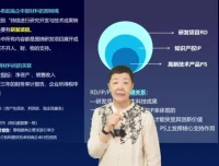 高新技术企业申报全攻略：技巧、案例与风险应对