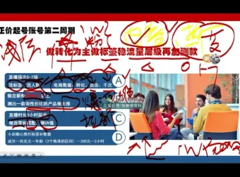婉婉抖音起号稳号实战课：从0到千粉运营全流程