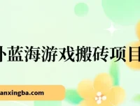 海外蓝海游戏搬砖项目：单机日入可观，适合兼职副业