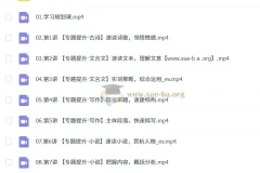 张亚柔2026届高三高考语文冲顶尖端暑假班课程