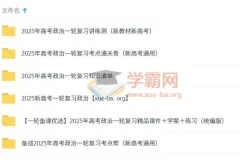 2025新高考高考政治一轮复习资料合集