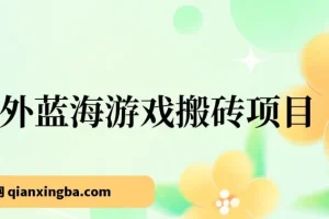 海外蓝海游戏搬砖项目：单机日入可观，适合兼职副业