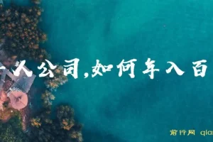 不上班，开一人公司，如何年入百万？