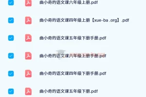 曲小奇的语文课（2024年春季版）