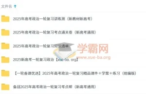 2025新高考高考政治一轮复习资料合集