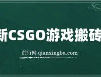 CSGO游戏搬砖项目：零基础小白也能月入过万