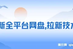 全平台网盘拉新技术：保姆级教学，轻松日入500+