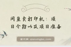 2024闲鱼卖打印机最新玩法，月入3万