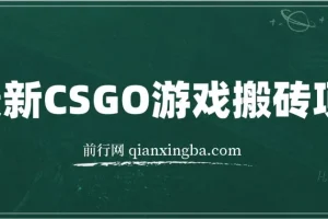 CSGO游戏搬砖项目：零基础小白也能月入过万