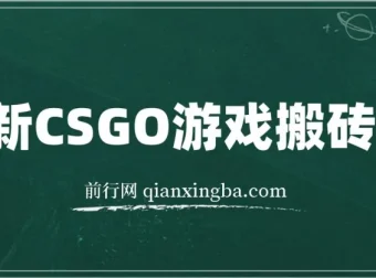 CSGO游戏搬砖项目：零基础小白也能月入过万