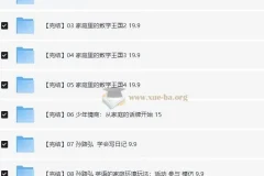 脑力工程师孙路弘儿童教育课程合集