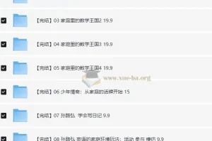 脑力工程师孙路弘儿童教育课程合集