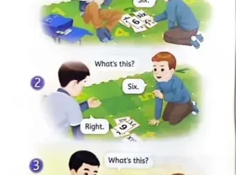 2025小学全科电子教材：AI助力学习新体验